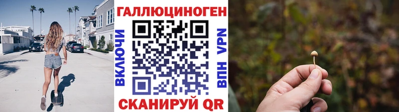 Галлюциногенные грибы GOLDEN TEACHER  где купить наркоту  Котлас 